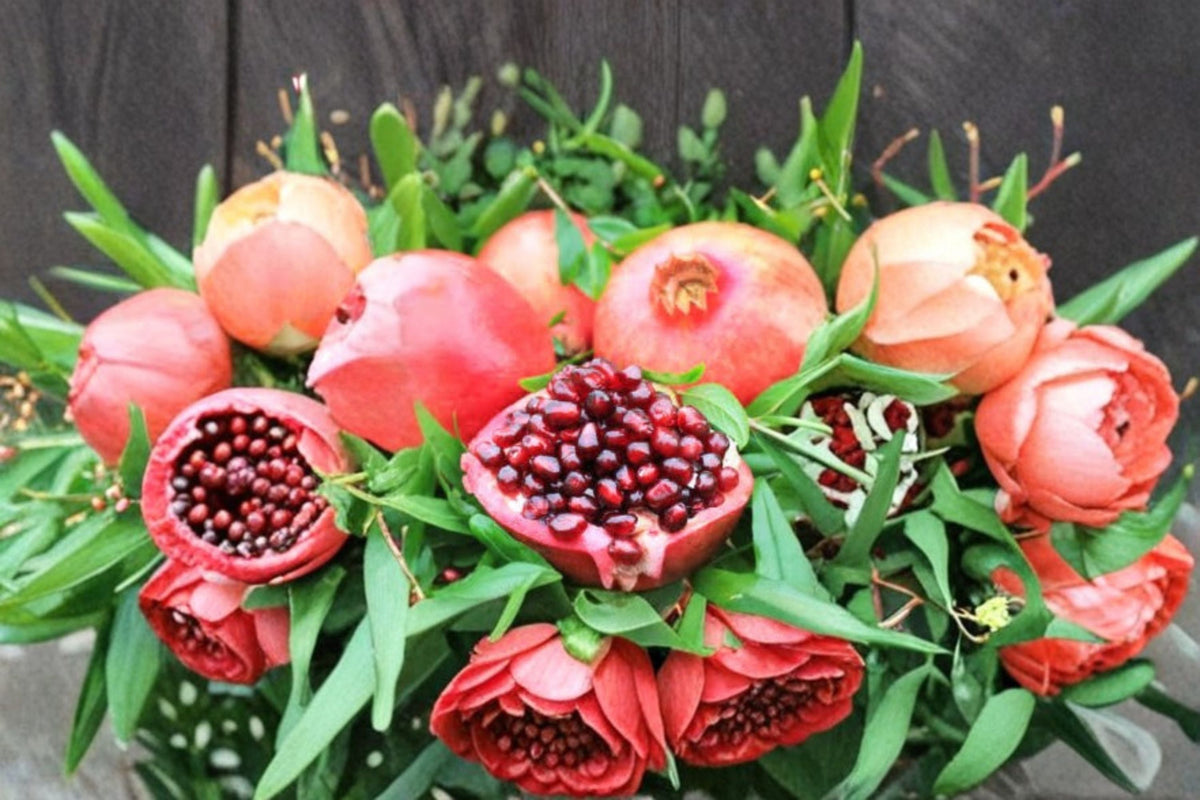 Wonderful Pomegranate Live Plant – 1 ft Seedling (Punica granatum)