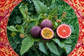 Purple Passionfruit Live Plant – 4–6" Tall, Rooted Passiflora edulis var. edulis