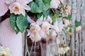 Annabelle White Fuchsia Live Plant - 5" Pot
