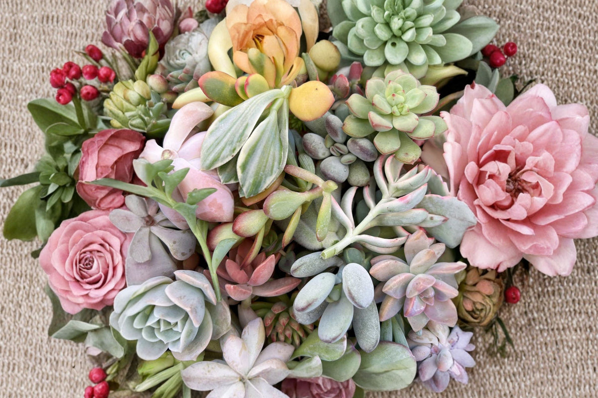12 Assorted Succulent Cuttings - Unrooted Live Propagation Starter Set (2–5")